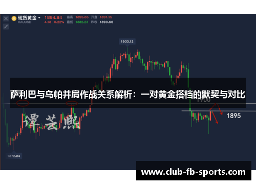 萨利巴与乌帕并肩作战关系解析：一对黄金搭档的默契与对比