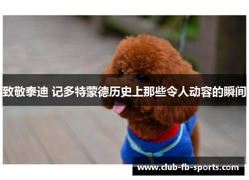 致敬泰迪 记多特蒙德历史上那些令人动容的瞬间