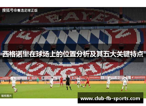 西格诺里在球场上的位置分析及其五大关键特点